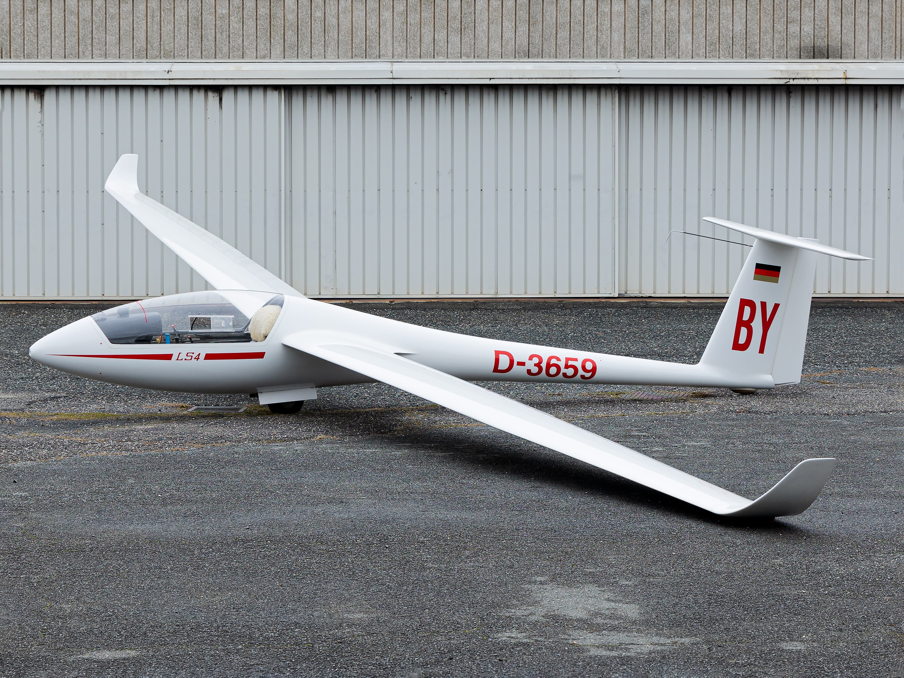 Rolladen-Schneider LS4