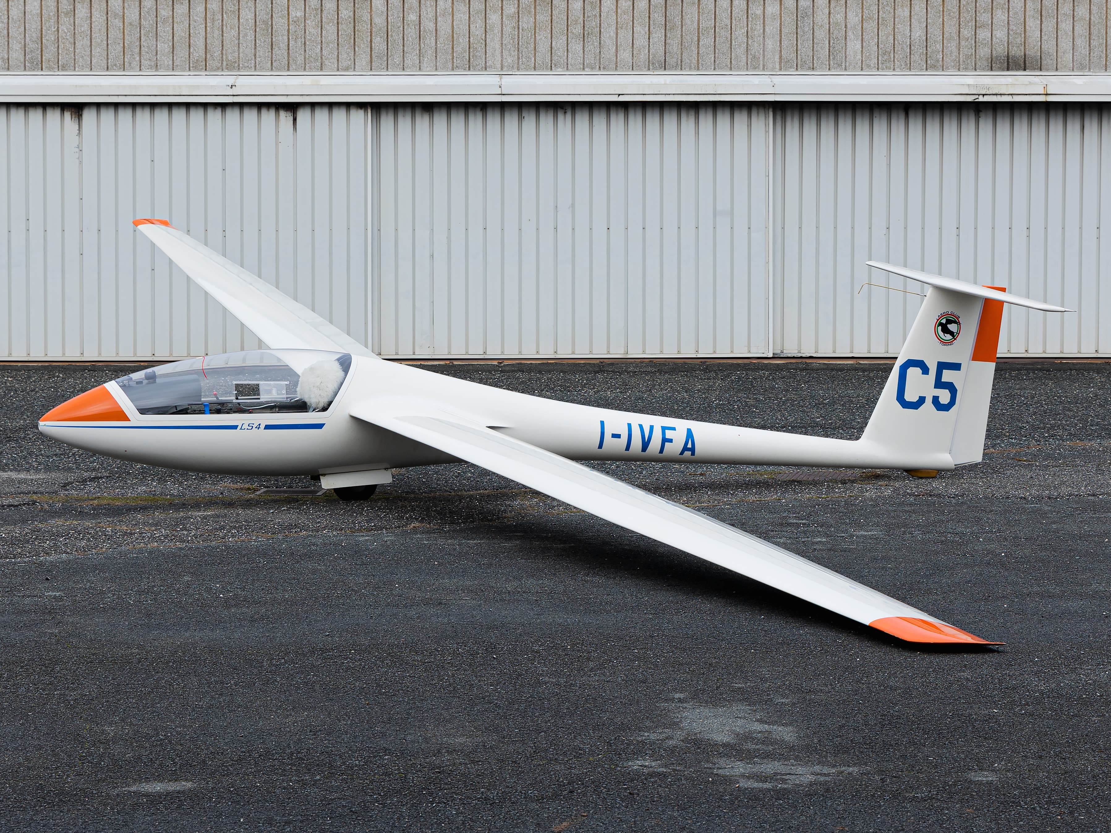 Rolladen-Schneider LS4