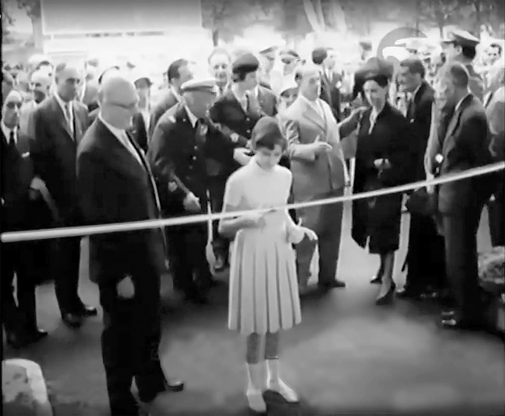 Immagine 34 del capitolo 12