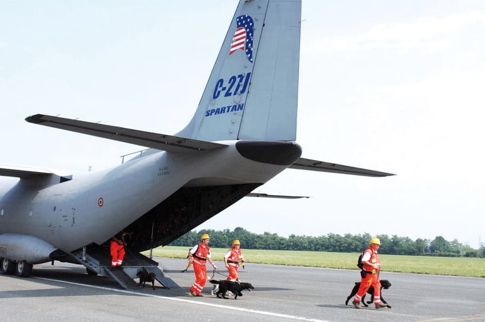 Immagine 8 del capitolo 16