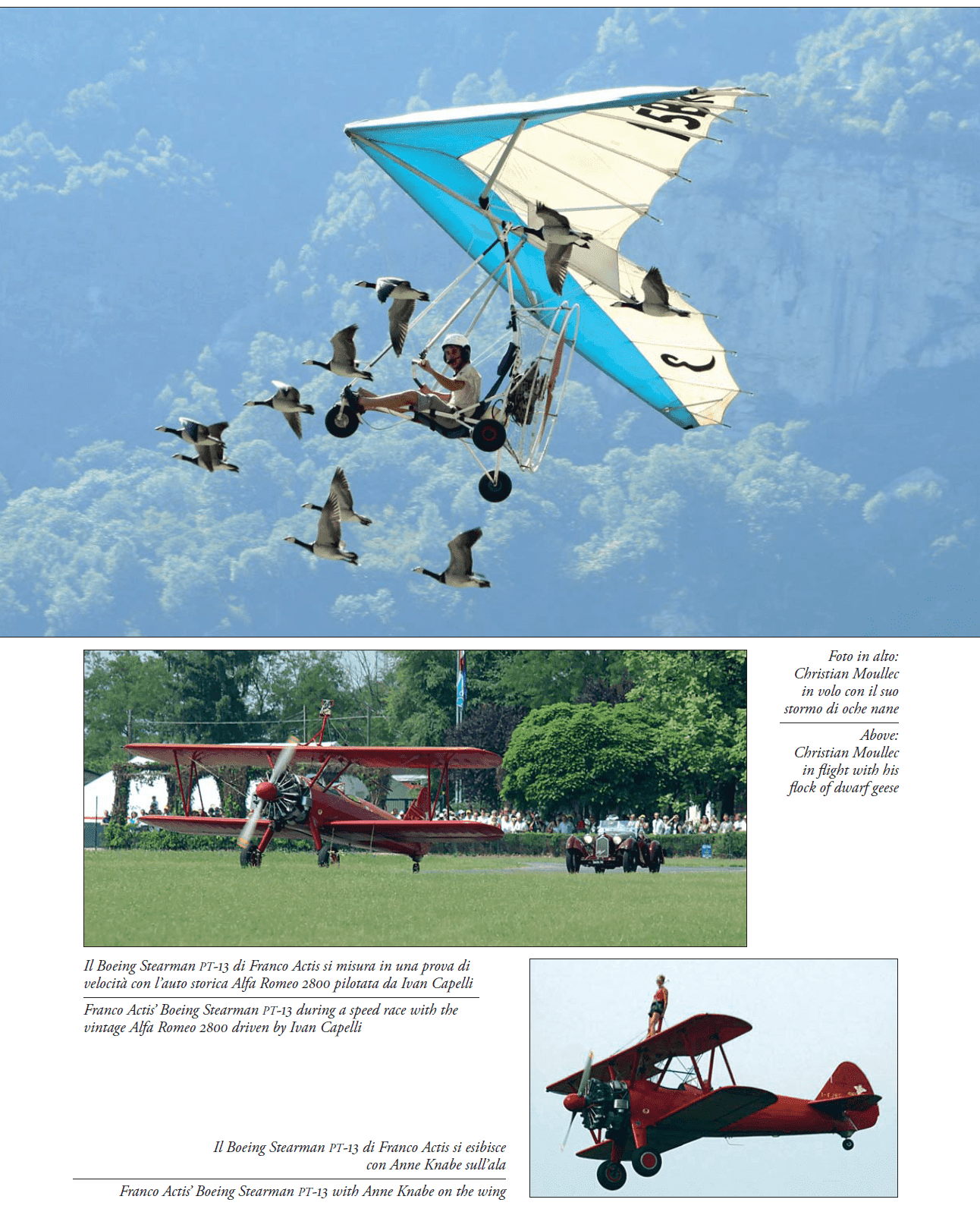 Immagine 17 del capitolo 17