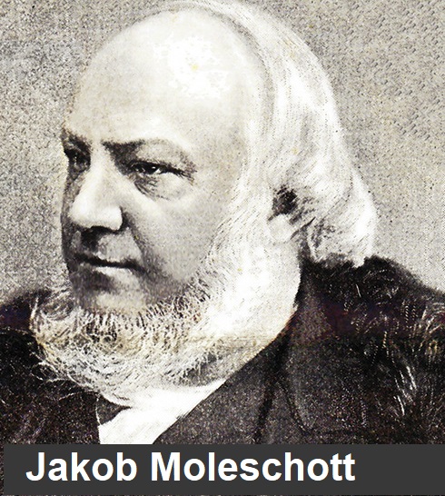 Immagine 18 del capitolo 3