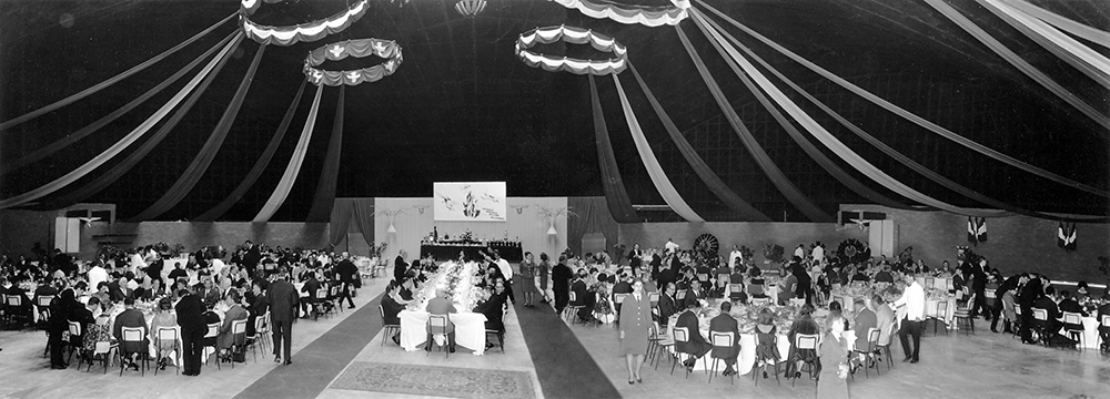 Immagine 5 del capitolo 12