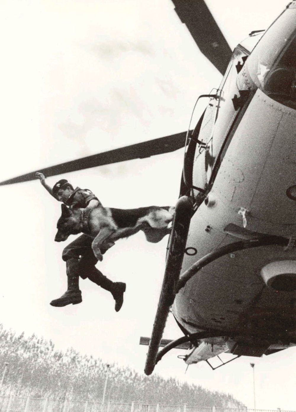 Immagine 8 del capitolo 13